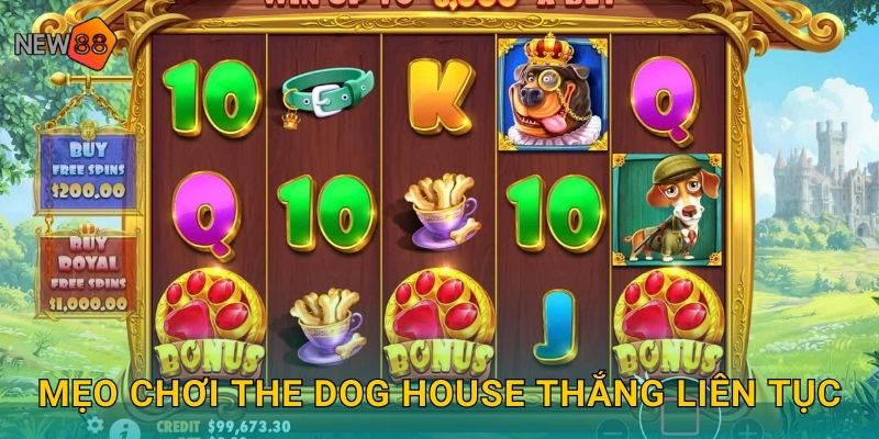 Mẹo chơi The Dog House thắng liên tục
